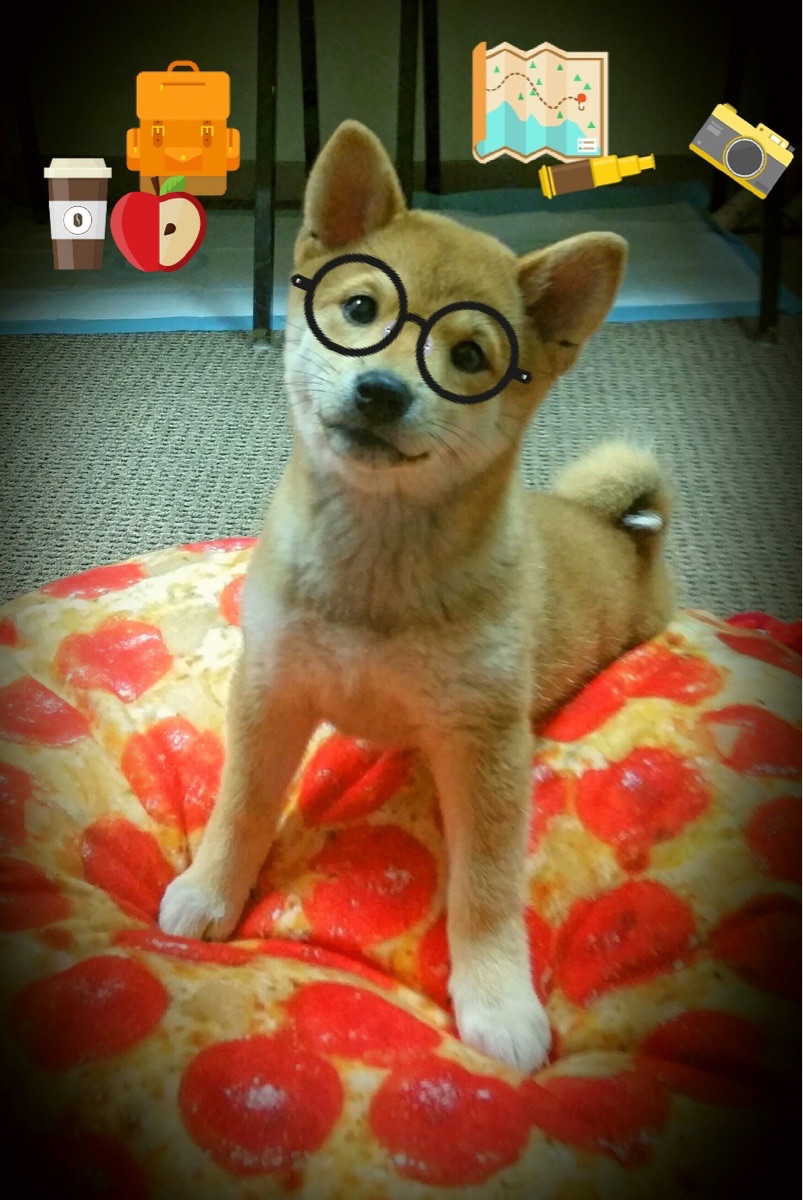 爱游戏-绿茵钢铁洪流与方寸间的火山，当碾压与点燃同时发生