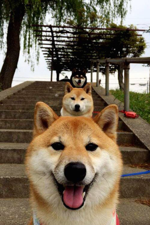 联合杯力克温网热度，鲁德刷新连胜纪录引热议