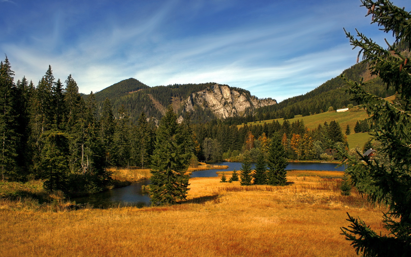 胜利者与输家，当索伯铁骑踏碎银箭王朝，汉密尔顿的孤影为何照亮了围场？