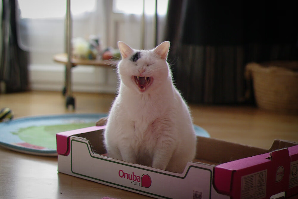 烽烟中冷月如钩，阿坎吉点燃赛场，秘鲁提前为伊拉克断魂