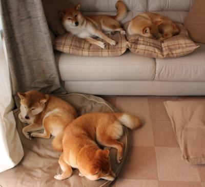 后种族隔离时代的足球政治博弈，楚阿梅尼的爆发与南非对AC米兰的终极抵制