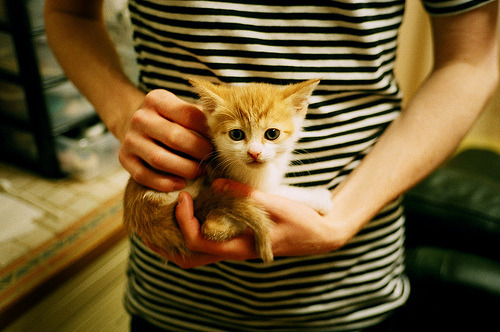 爱游戏在线-南美风暴席卷红牛竞技场，乌拉圭高压战术撕裂莱比锡，久保建英一锤定音演绎亚洲之光