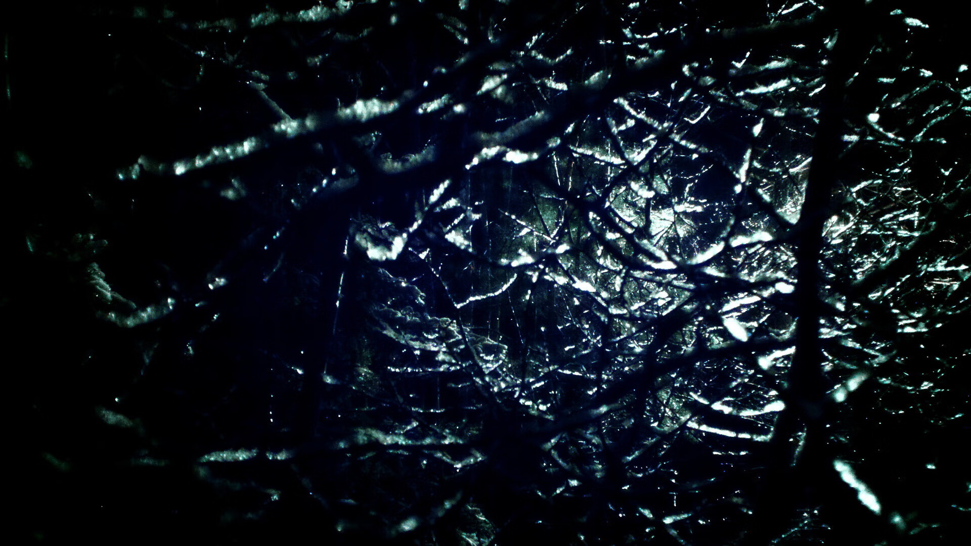 时空撕裂下的篮球狂想，当浙江万马奔腾撞碎芝加哥铁壁