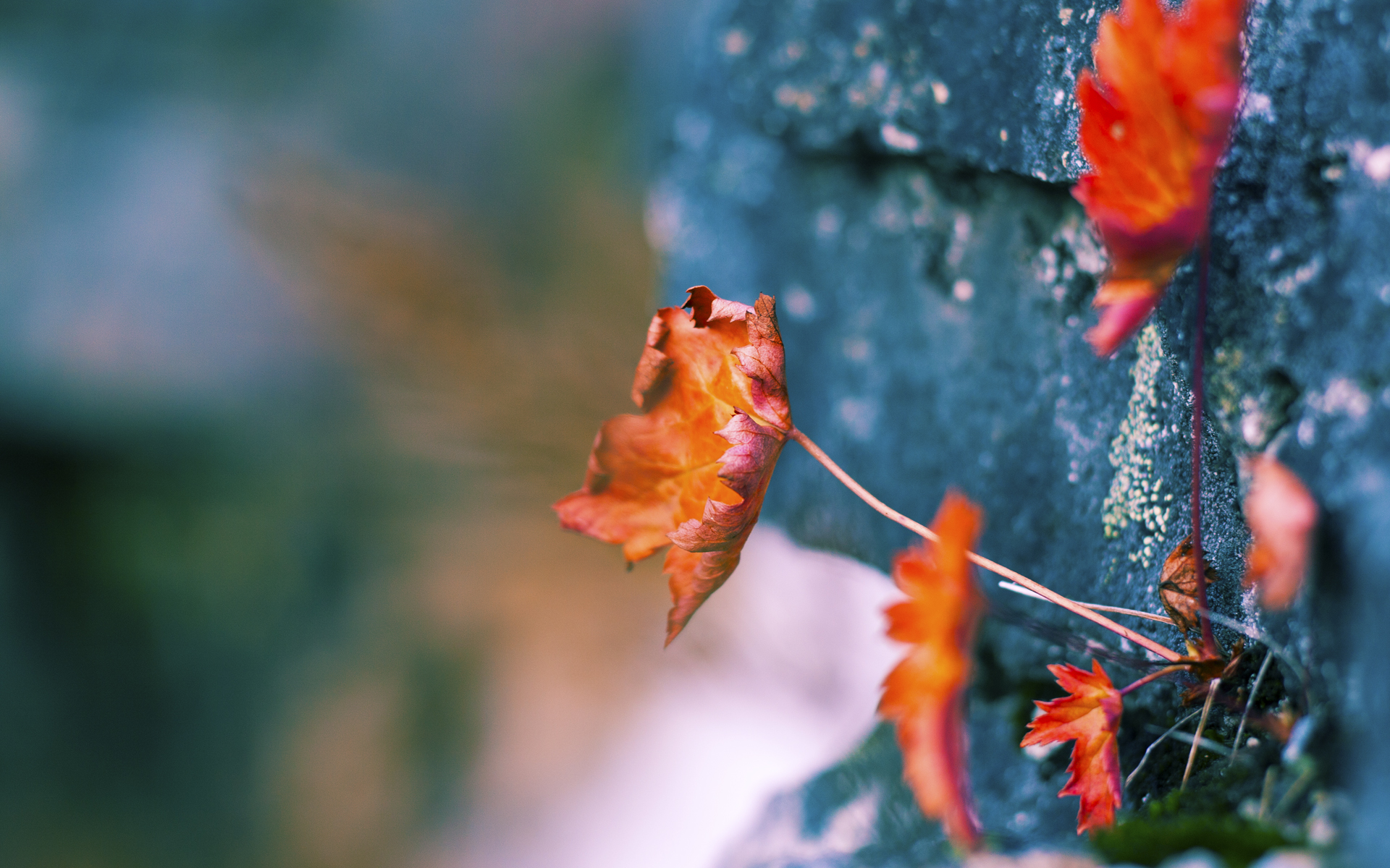 爱游戏娱乐-唯一的祭司，奥运神殿里，保罗燃灯为炬
