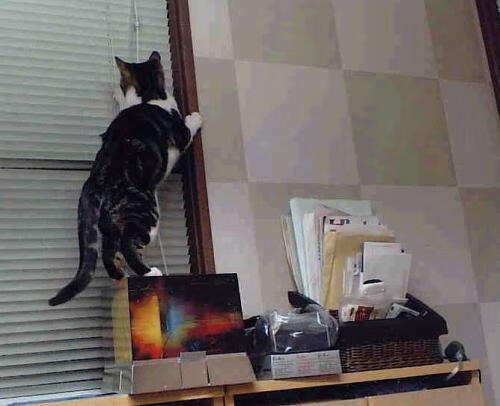 富安健洋的完美防守艺术与美国足球的崛起之光,从个人辉煌到集体突破的足球新纪元