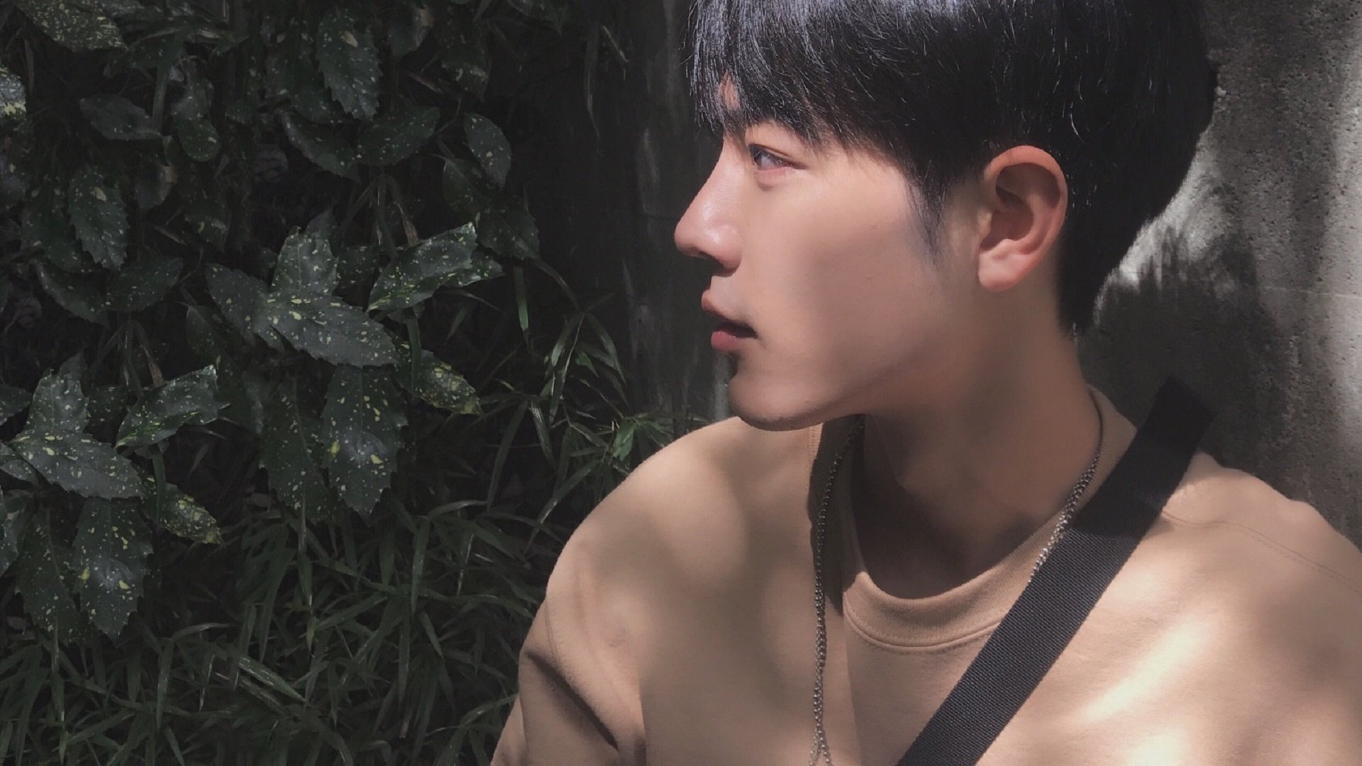 速度与绿茵的狂欢，F1揭幕战焦点战与塞维利亚狂胜里昂的双重体育盛宴