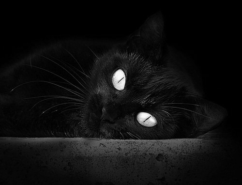 爱游戏在线-油门与三分线，极速与绝杀的交织史诗