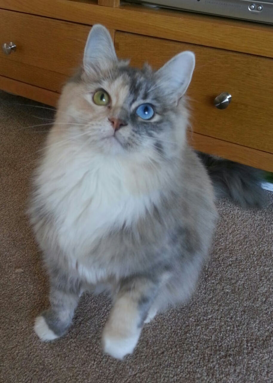 西决风云，勇士铁壁锁雷霆，马克西末节封神定乾坤