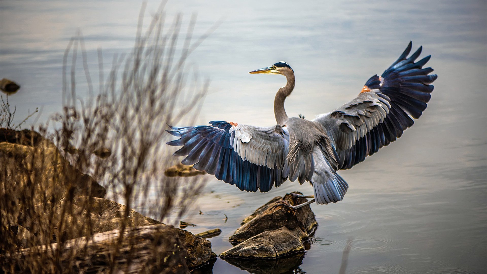爱游戏娱乐-当广厦遇上国王，利拉德编织的完美乐章