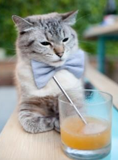 蓝色飓风席卷F1街道赛,浙江队的围剿艺术如何让孤胆英雄折戟