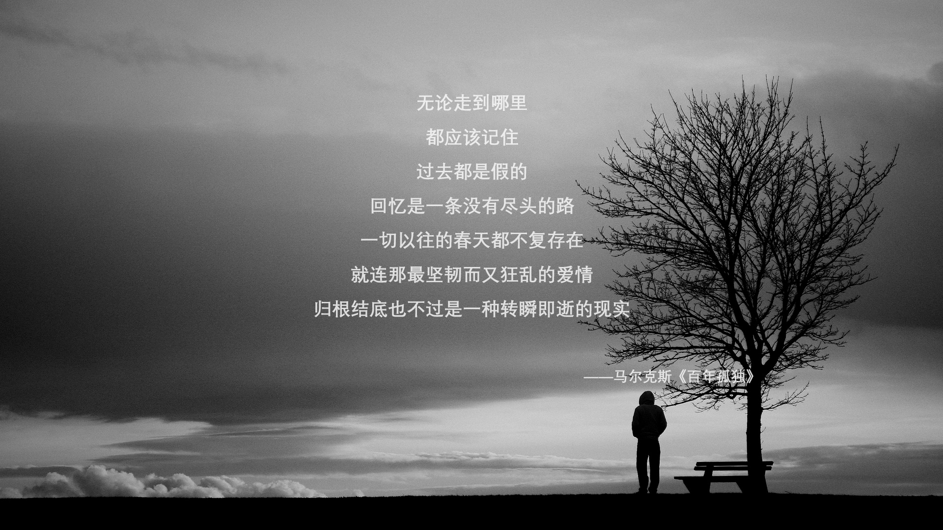 虚拟绿茵场,当莱比锡红牛穿越美加墨世界杯