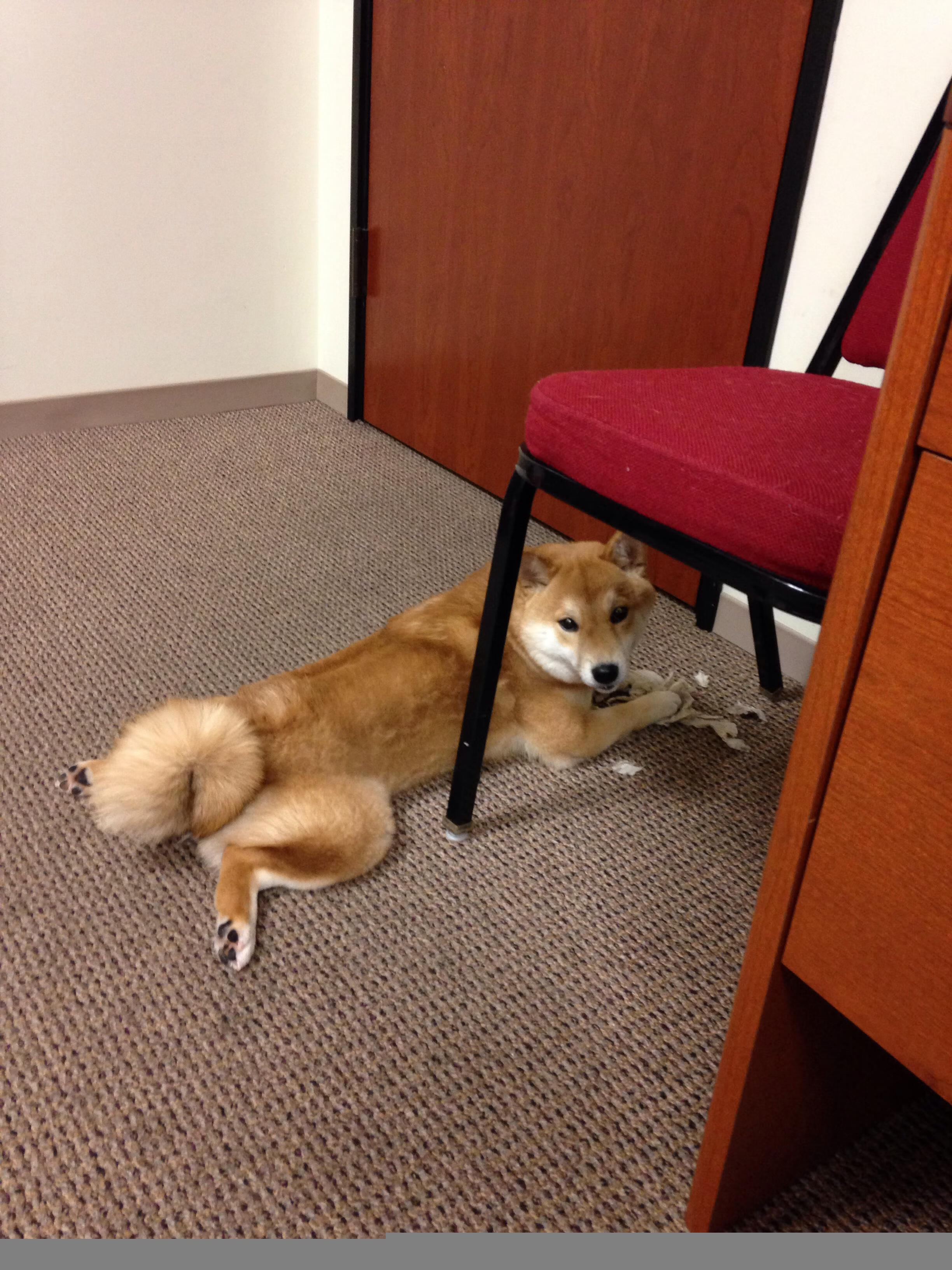 足球世界的双重奏,芬兰正面击溃摩洛哥,福登欧冠半决赛接管比赛