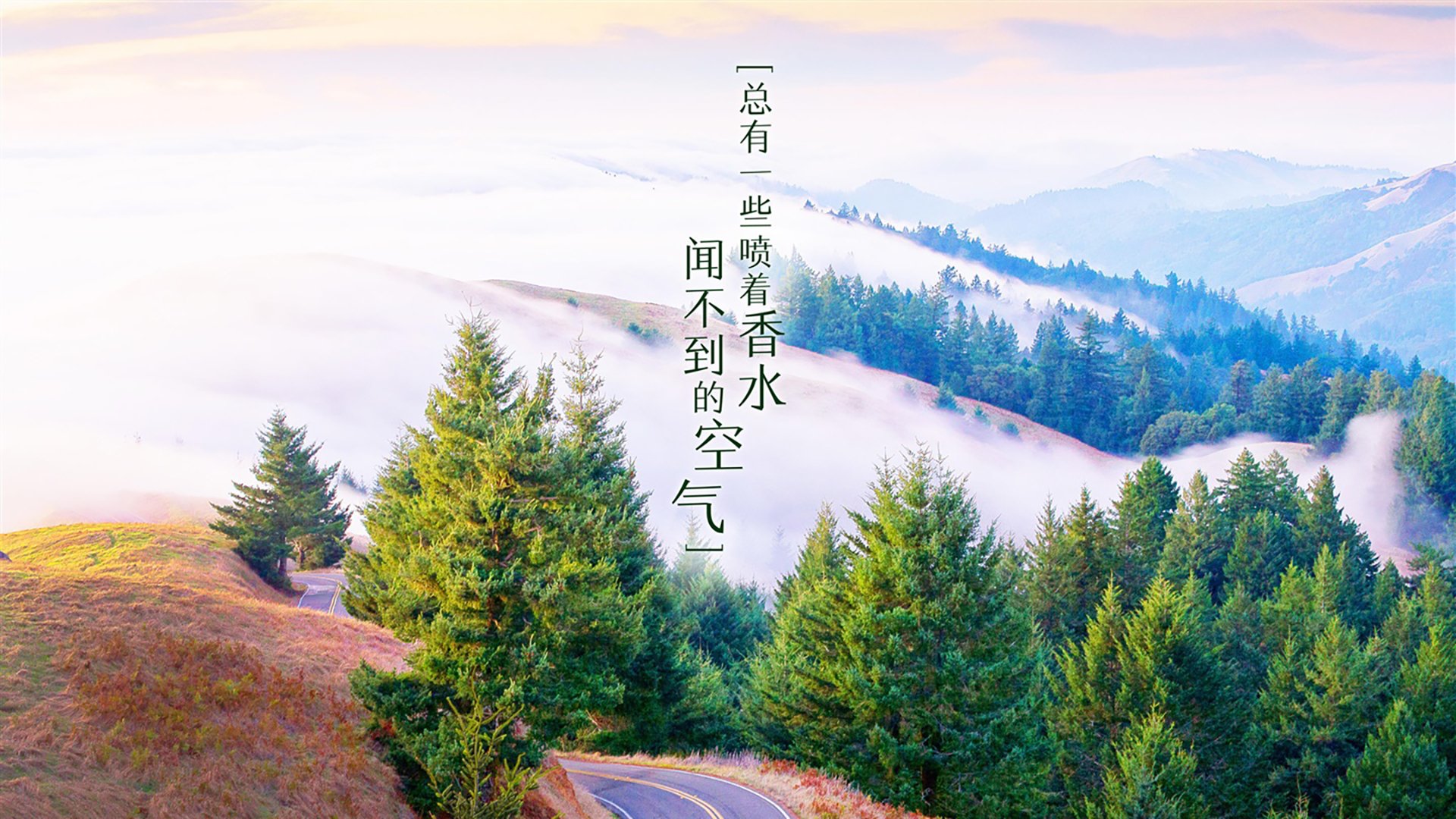 爱游戏大厅-孤星破晓，2026世界杯B组暗战，福登一剑封喉改写喀厄命运