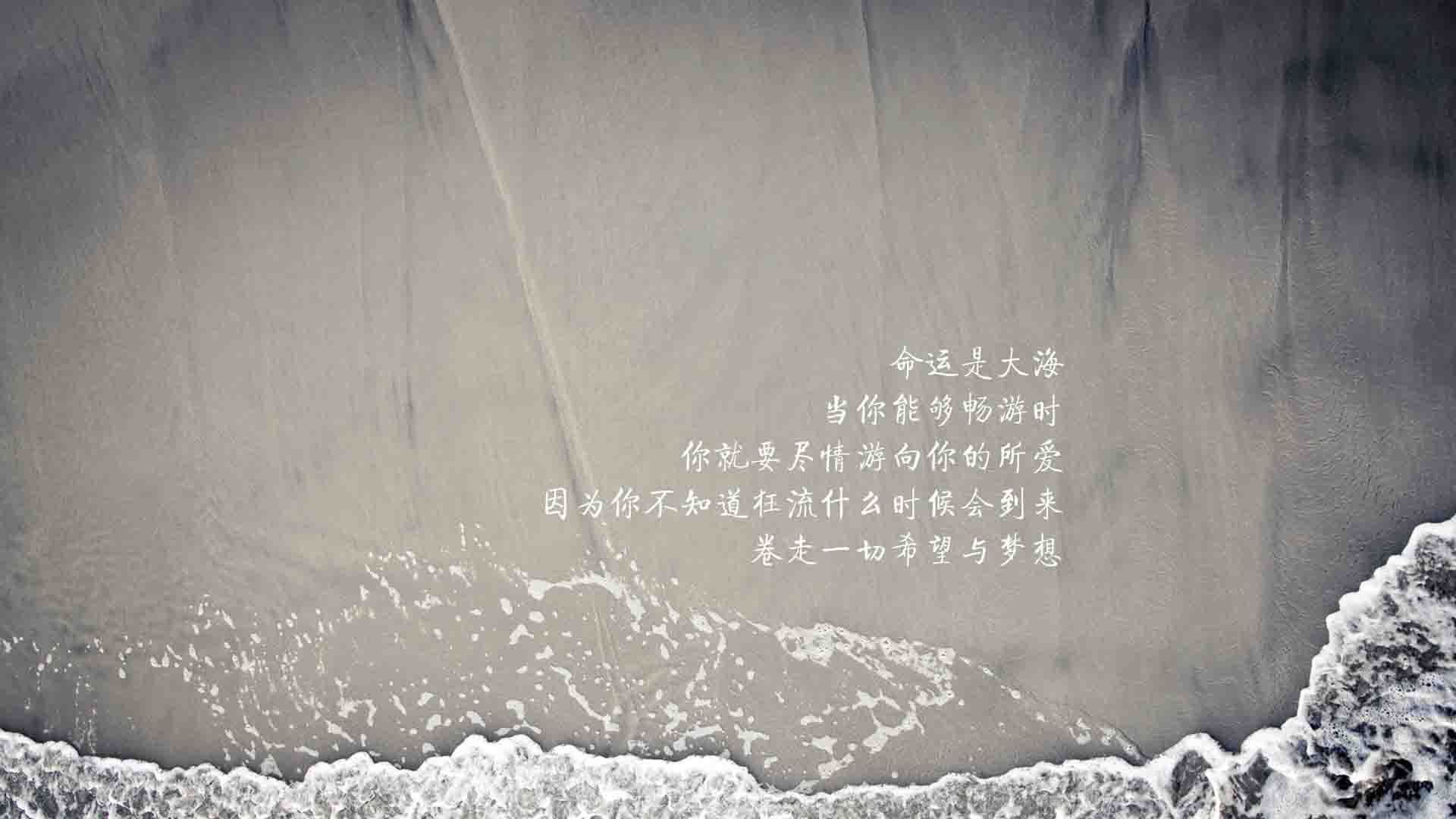 从西贡到圣何塞，一场酝酿了十年的复仇，越南如何用西班牙方式击溃西班牙，坎塞洛为何是那把最锋利的刀