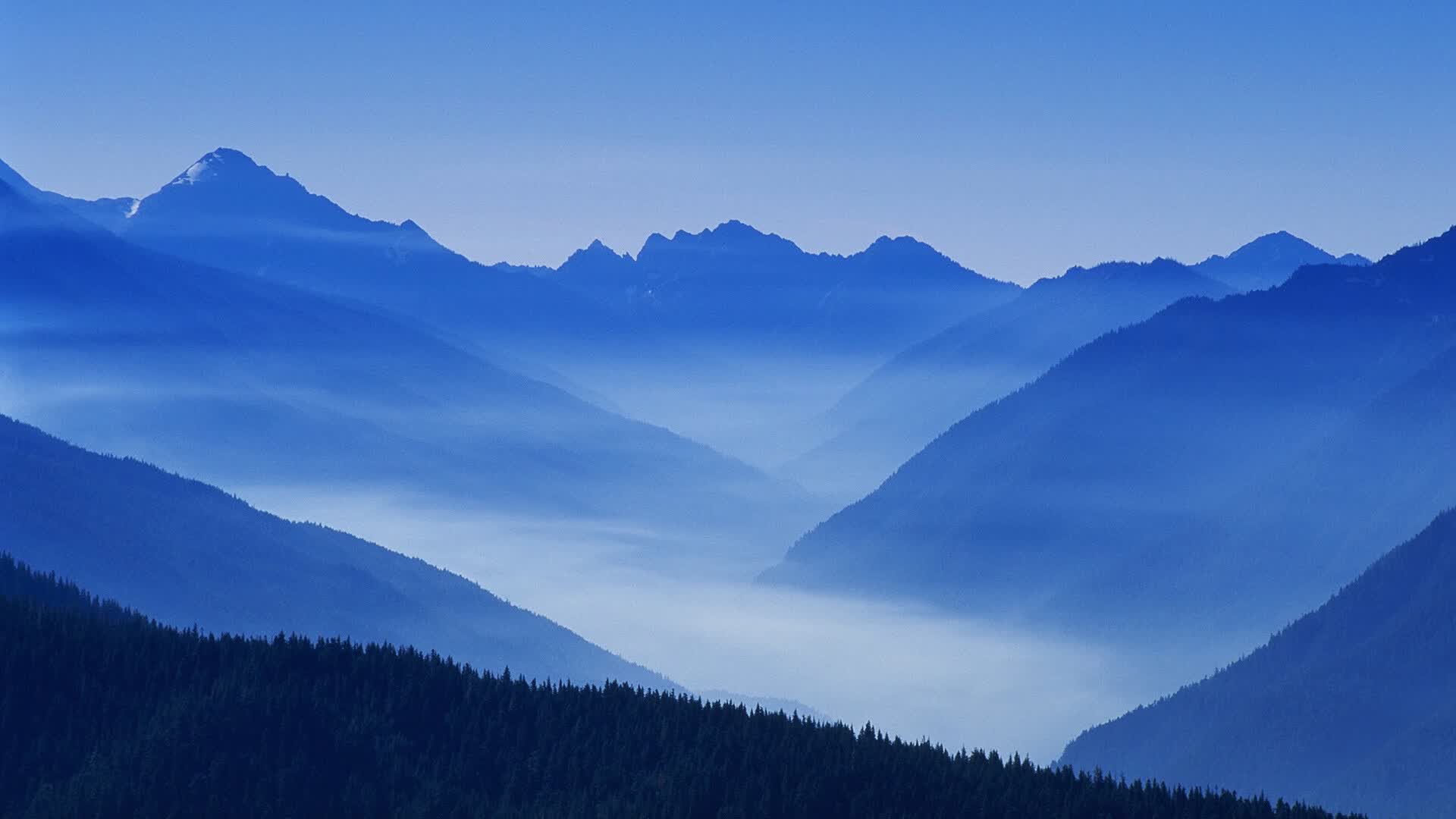 血洗之夜，2026世界杯E组强强对话，葡萄牙横扫加纳，贝林厄姆化身孤胆英雄，替补奇兵一剑封喉