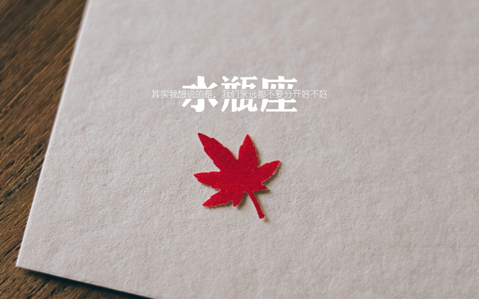三狮破天堑,拉什福德独造三球,英格兰在G组焦点战中碾碎印度神话